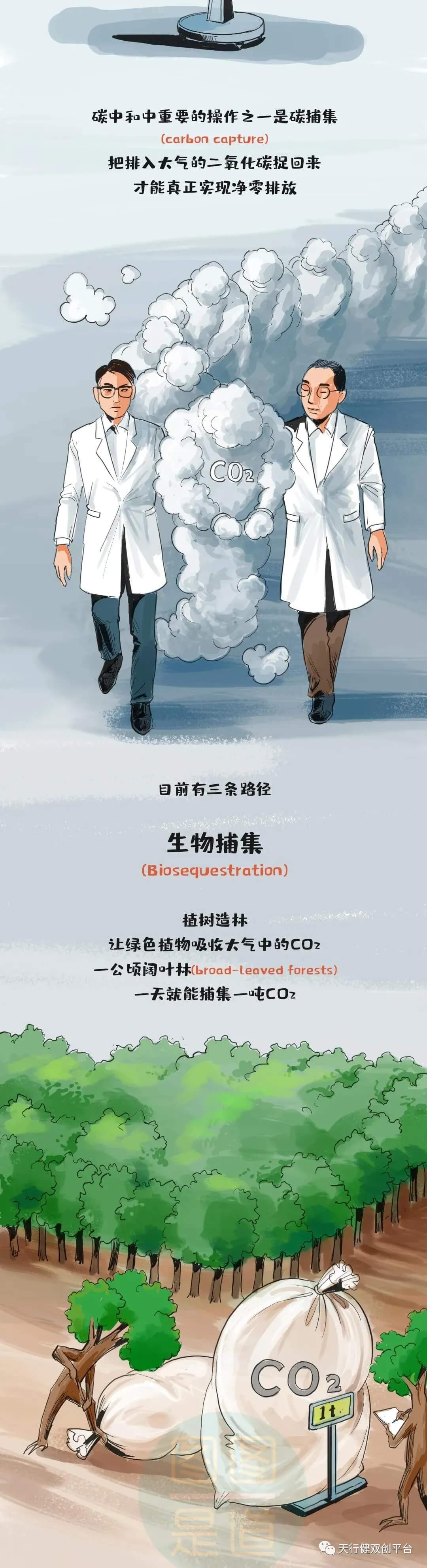 1620383838189413.jpg 640.webp.jpg