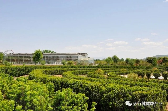 1620384067520633.jpg 640.webp.jpg